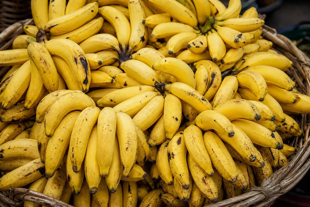 Ripe bananas in a woven market basket