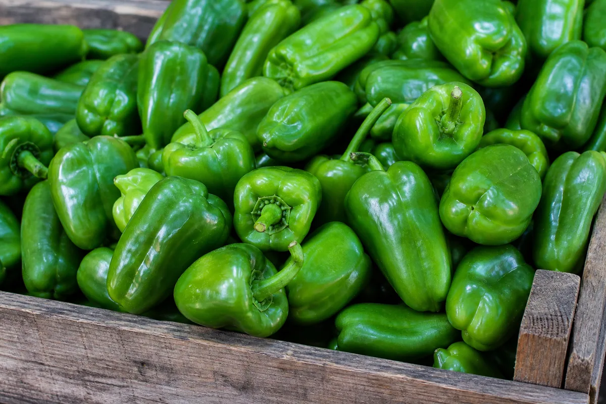 Fresh green peppers in a wooden market crate