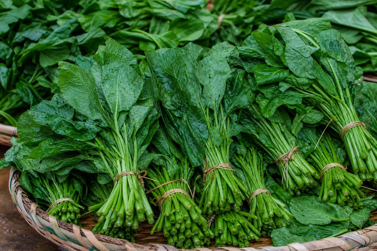 Fresh leafy vegetables bundled in a woven basket