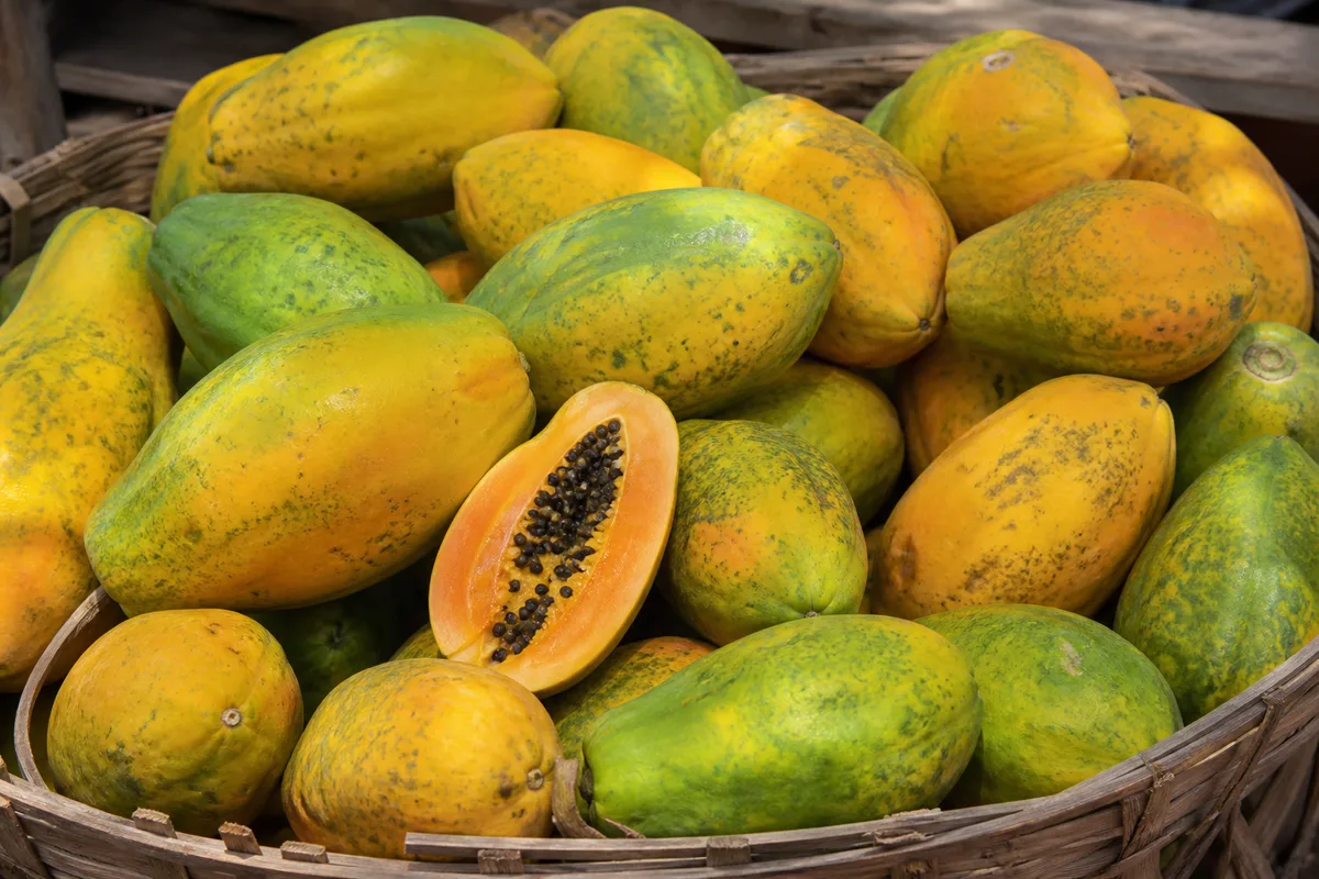 Ripe papayas in a market basket, one cut showing orange flesh