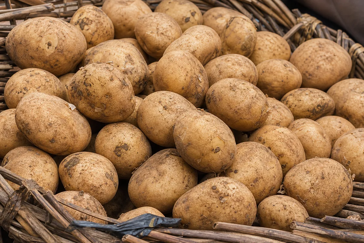Fresh potatoes displayed in a woven market basket