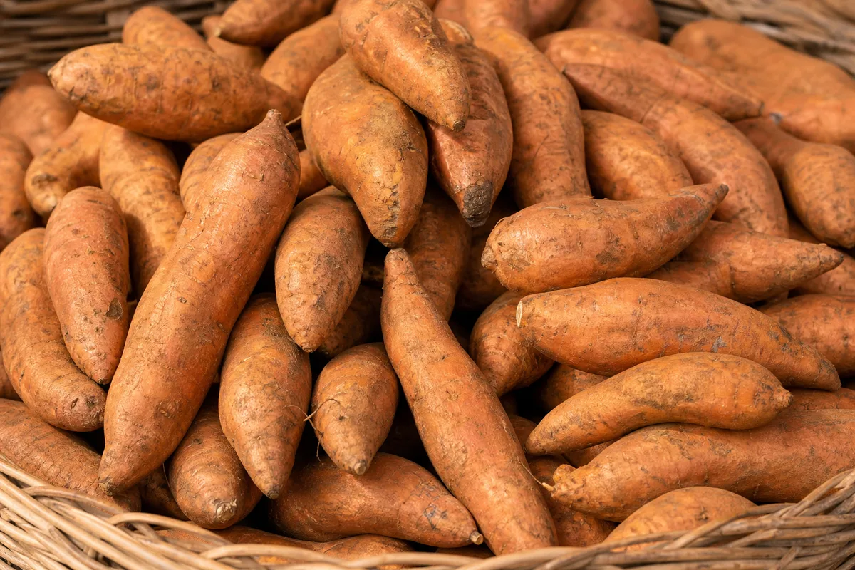 Fresh sweet potatoes in a wooden market crate